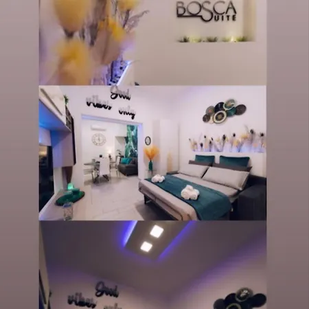 Bosca Suite-3